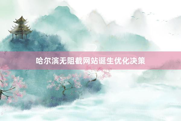 哈尔滨无阻截网站诞生优化决策